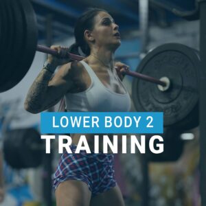4 - Lower Body 2
